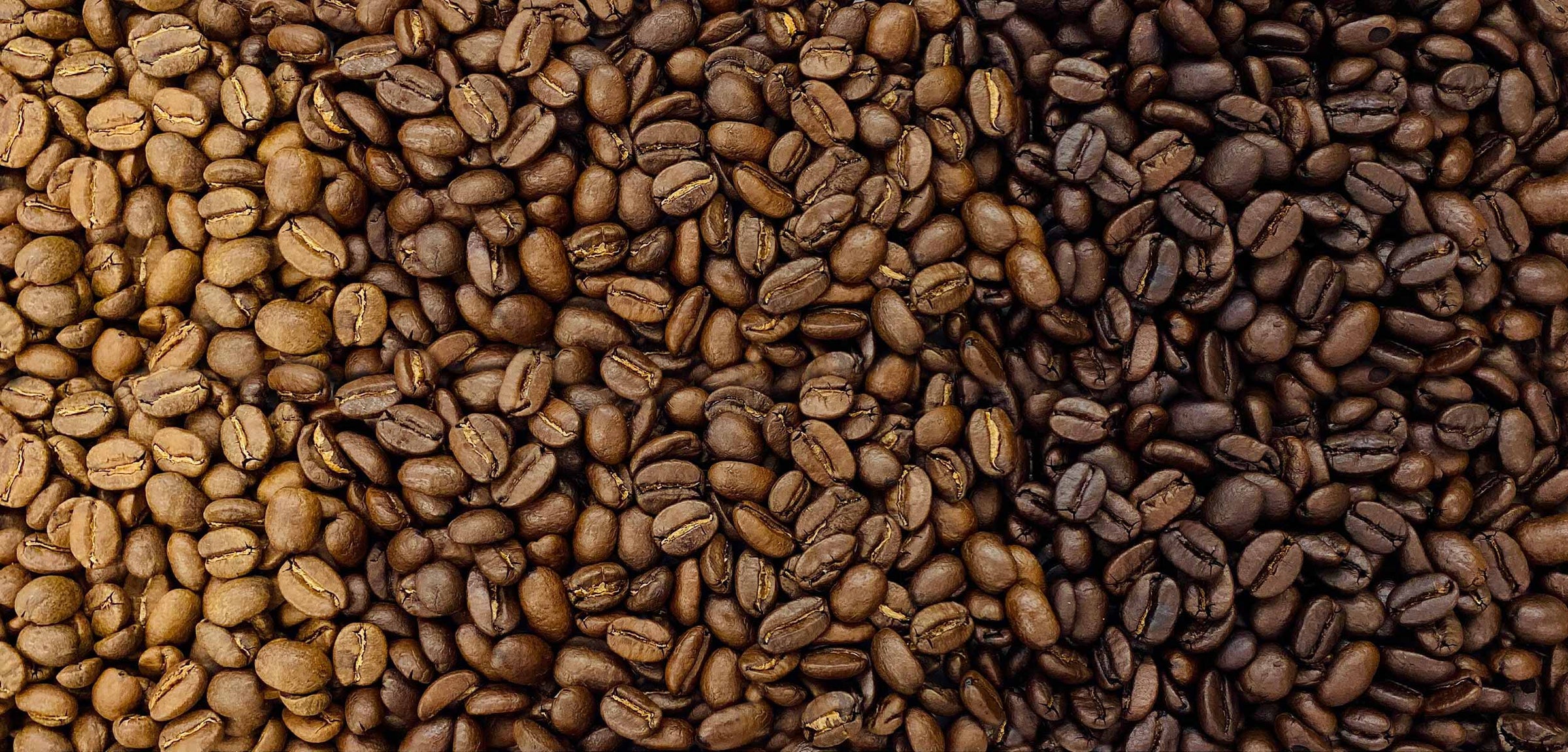 Light Roast Coffee
