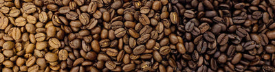 What is the Difference Between Light, Medium, and Dark Roast Coffee?