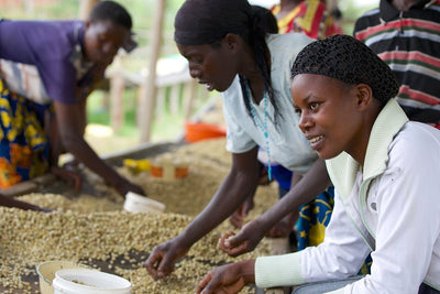Copper Moon Coffee Unveils Rwandan Coffee in Support of Women Coffee Farmers